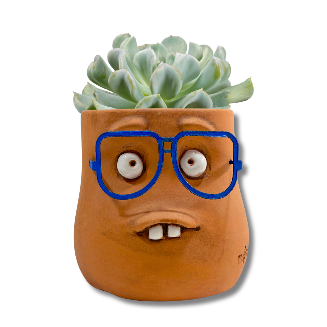 Majetas