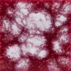 Strawberry - CG783